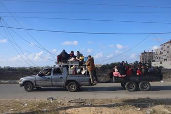 People fleeing fighting in Gaza continue to search for safe places to shelter in the enclave. 