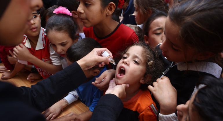 The second round of the emergency polio vaccination campaign began on 14 October 2024 in Gaza, with the aim of vaccinating 591,700 children under 10 with a second dose of the novel oral polio vaccine type 2 (nOPV2).