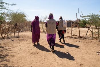 Health volunteers, alongside a UNICEF nutrition specialist, conducting a door-to-door campaign in eastern Sudan. More than 24 million Sudanese are facing high levels of acute food insecurity.