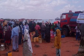 Humanitarian partners in Somalia are scaling up response to displaced people after violence broke out in Gaalkacyo on 7 October 2016.