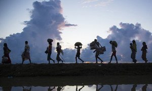 Rohingya refugees cross the border near a village in southern Bangladesh. (9 October 2017)