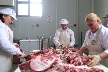 Serbs and Albanian women working together in a butchery in Kosovo.