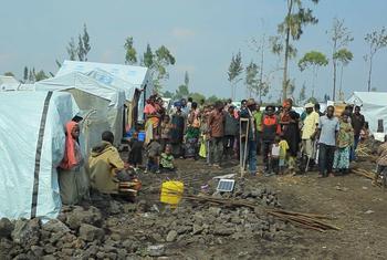 Internally displaced persons (IPDs) sheltering at a camp in Goma, Democratic Republic of the Congo.
