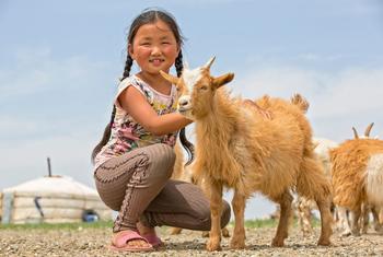 The use of land for agricultural production is one of the primary drivers behind biodiversity loss and habitat destruction.