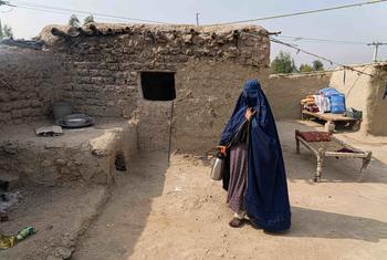 The UN says that women and girls have been progressively excluded from public life in Afghanistan.