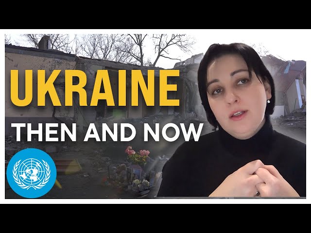 Three Years On: The Effects of Russia’s Full-Scale Invasion of Ukraine 